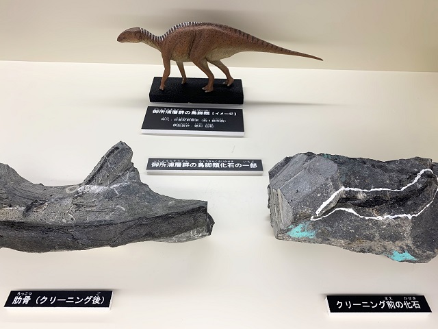 新品本物 送料込！白亜紀 恐竜の卵の化石 日本文化資料センター - その他