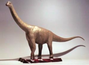 恐竜模型カマラサウルス