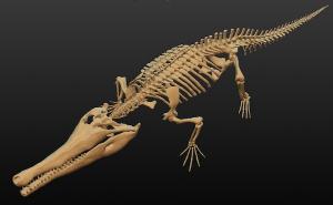 恐竜古生物骨格CGマチカネワニ