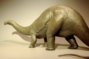 ブロントサウルスbrontosaurus