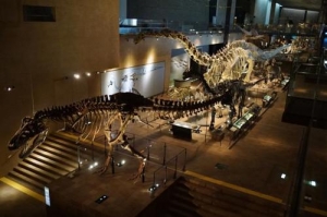 恐竜古生物20154289