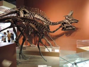 恐竜古生物20154286