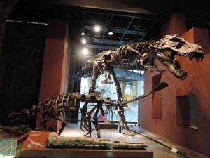 恐竜古生物20154287