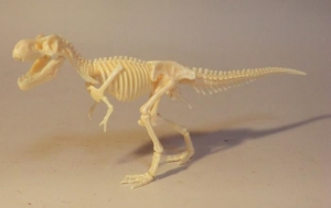 ティラノサウルス骨格オモチャ