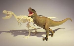 ティラノサウルス＆タルボサウルス