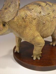 Triceratops20103.jpg