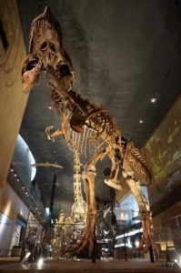 ティラノサウルス.スー.北九州